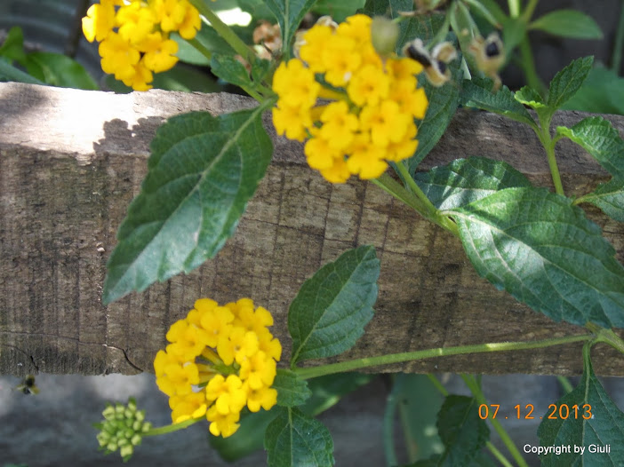 DSCN1495.JPG