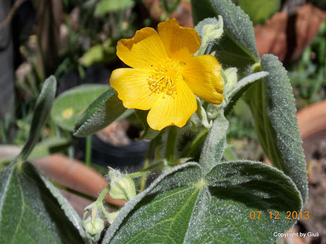 DSCN1497.JPG