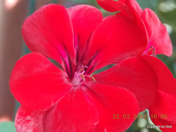 DSCN1498.JPG