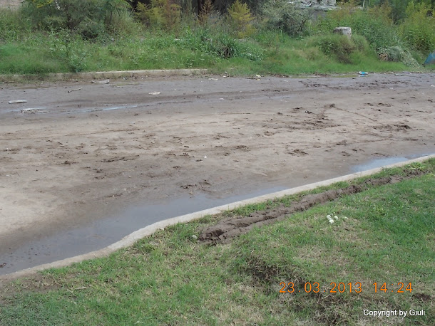 DSCN1504.JPG