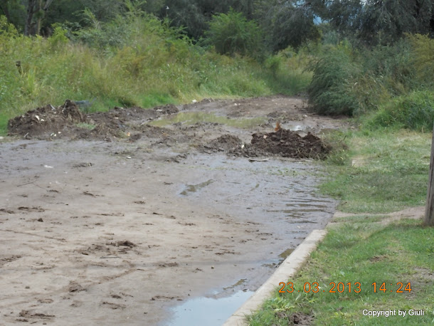 DSCN1505.JPG