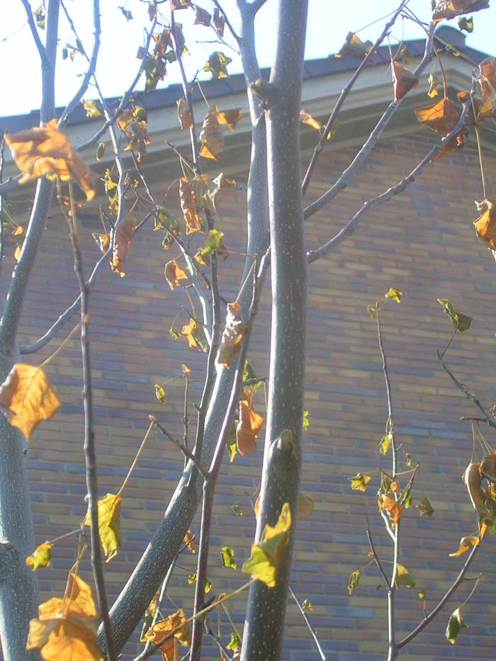 DSCN1505.JPG