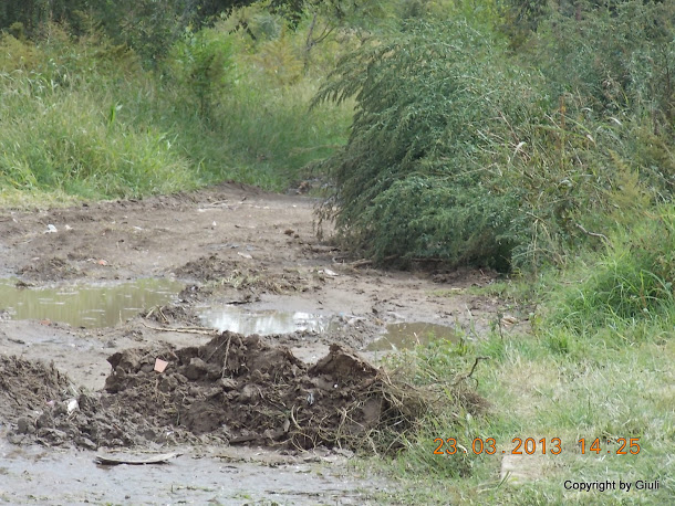 DSCN1507.JPG