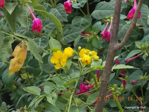 DSCN1513.JPG
