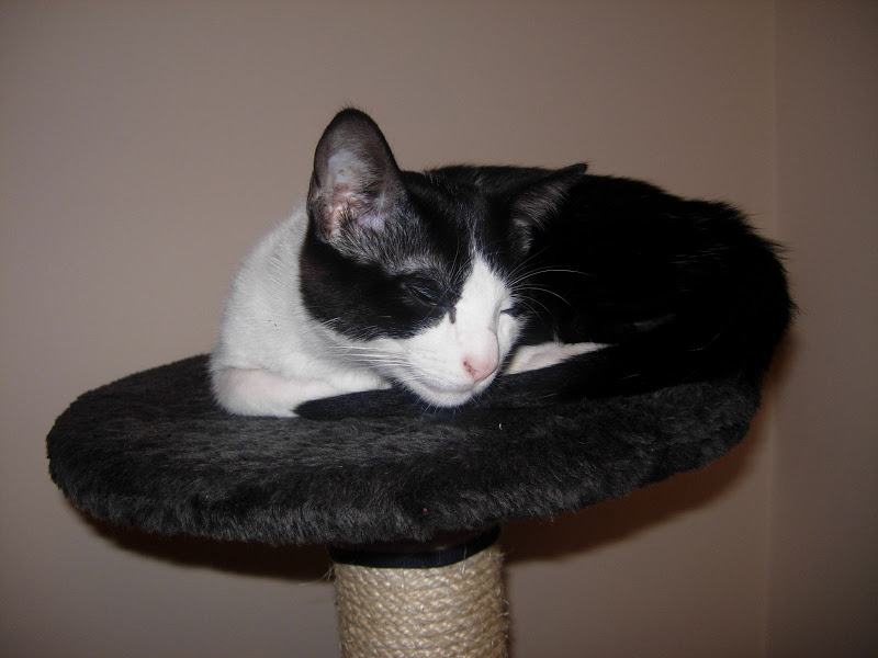 DSCN1514.JPG