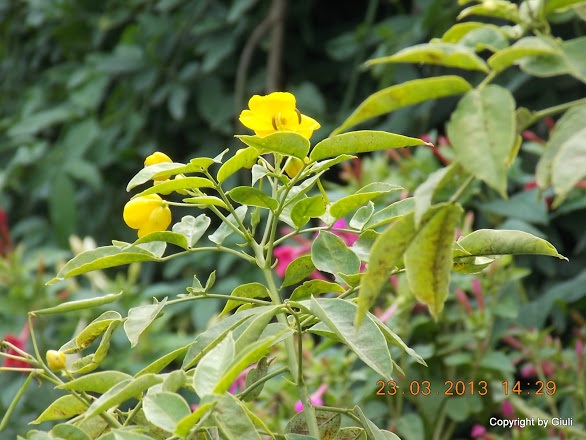 DSCN1514.JPG