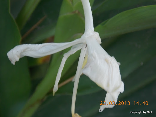 DSCN1527.JPG