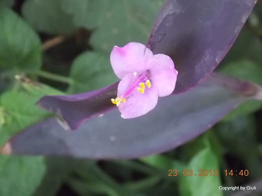 DSCN1528.JPG