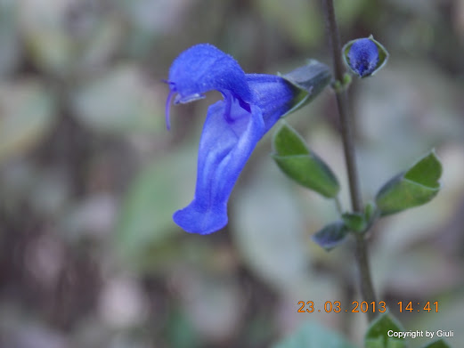 DSCN1529.JPG