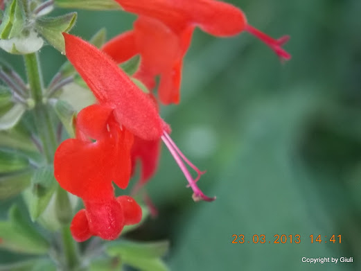 DSCN1530.JPG