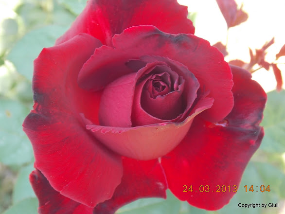 DSCN1535.JPG