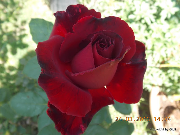 DSCN1536.JPG