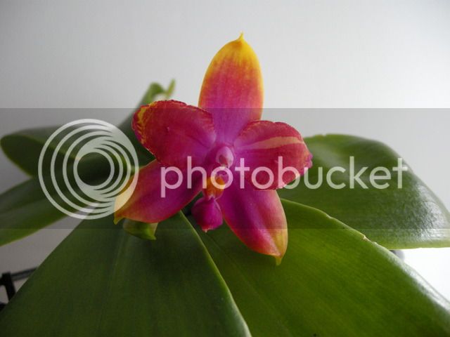 DSCN1543_zpsobms7ff1.jpg