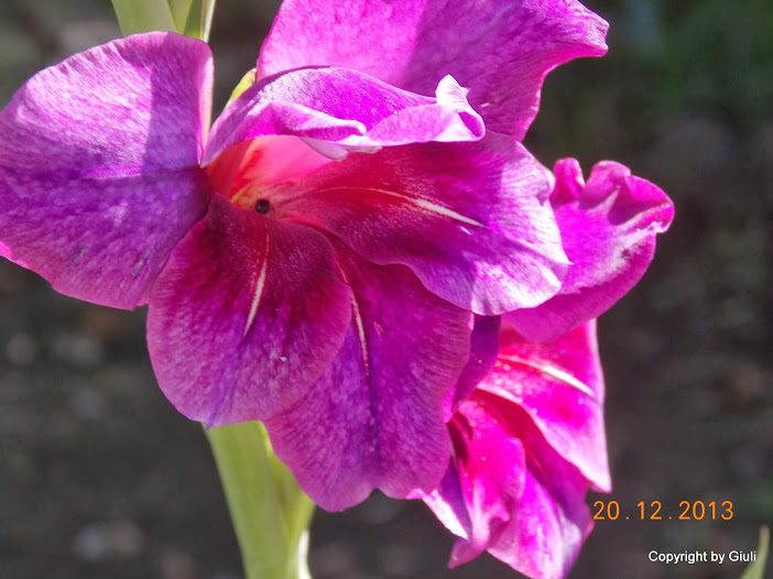 DSCN1544.JPG
