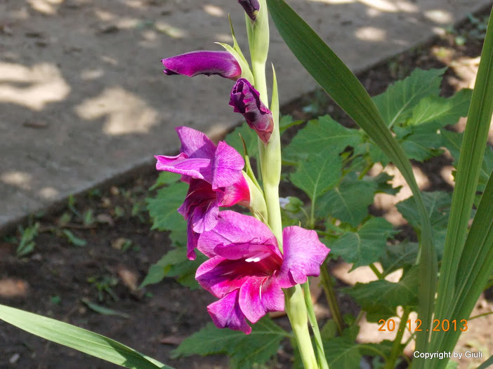 DSCN1547.JPG