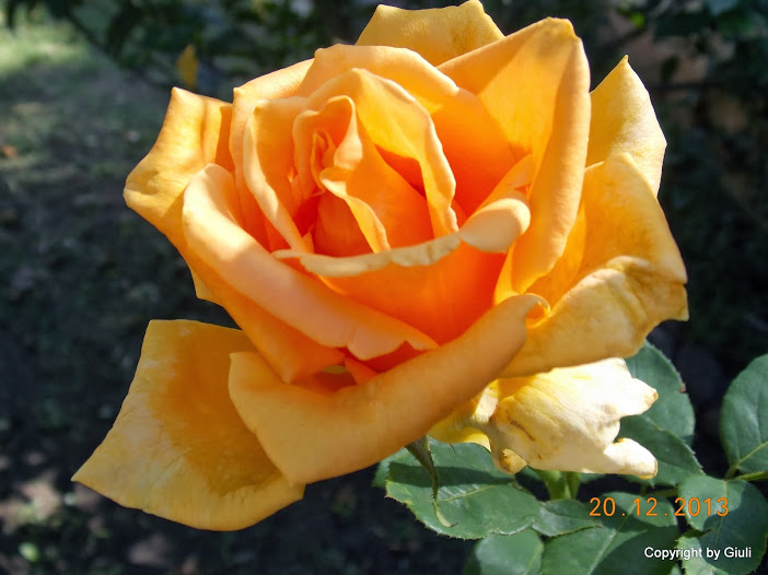 DSCN1548.JPG