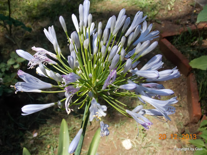 DSCN1549.JPG