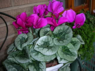 DSCN1552.jpg