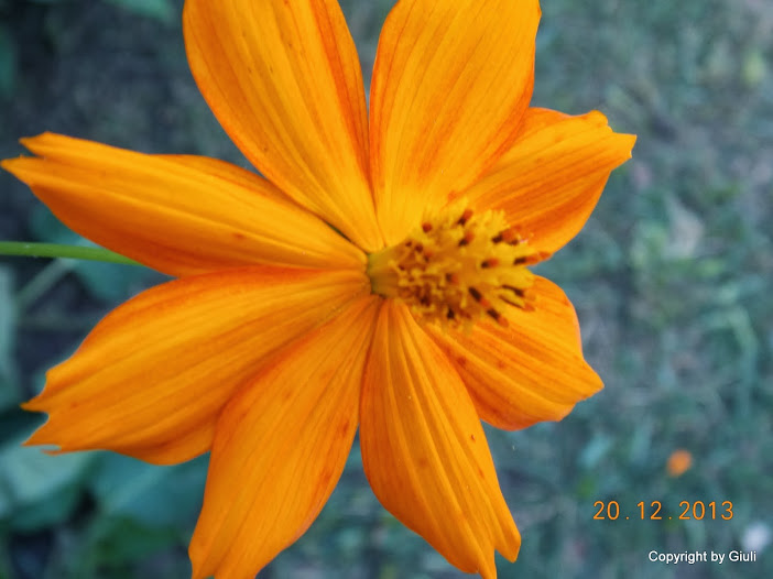 DSCN1552.JPG