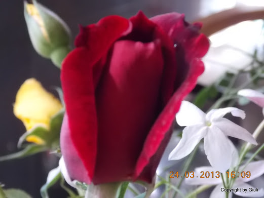 DSCN1553.JPG