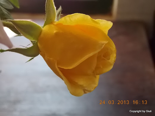 DSCN1557.JPG
