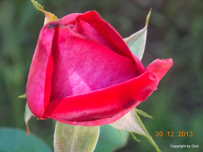 DSCN1558.JPG