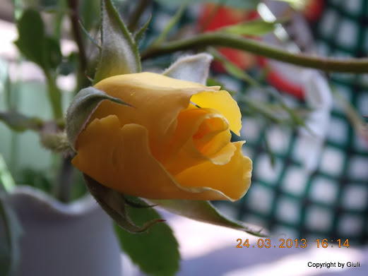 DSCN1560.JPG