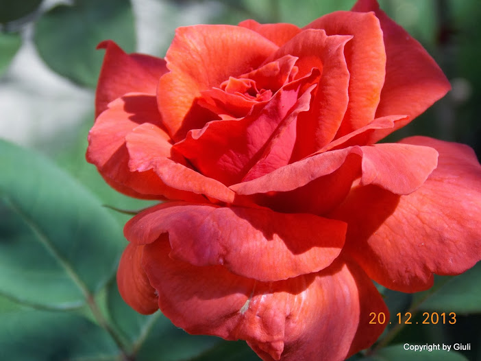DSCN1560.JPG