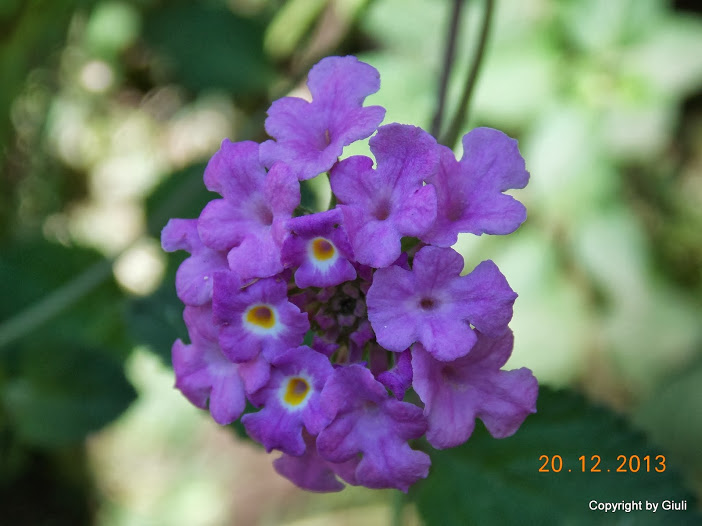 DSCN1562.JPG