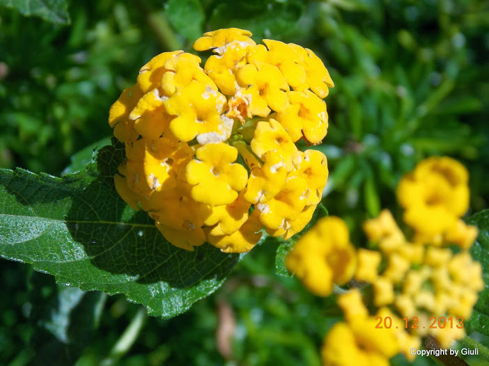 DSCN1563.JPG