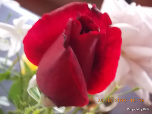 DSCN1567.JPG