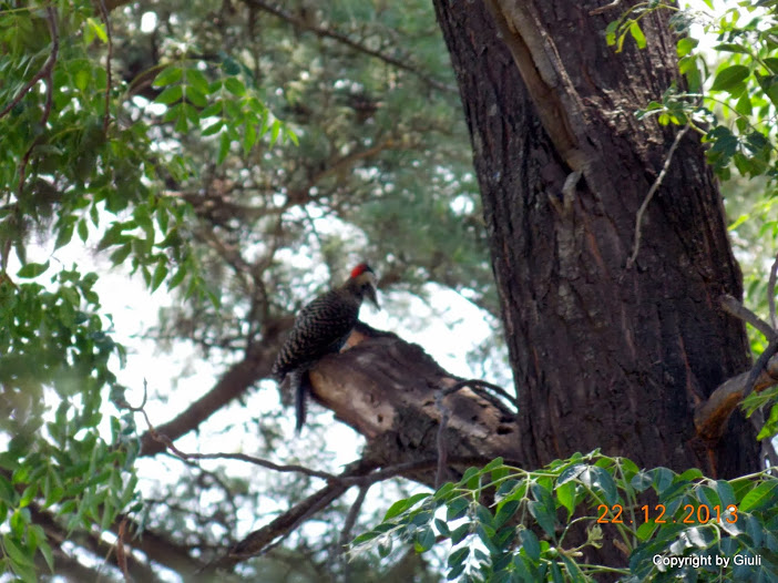 DSCN1574.JPG