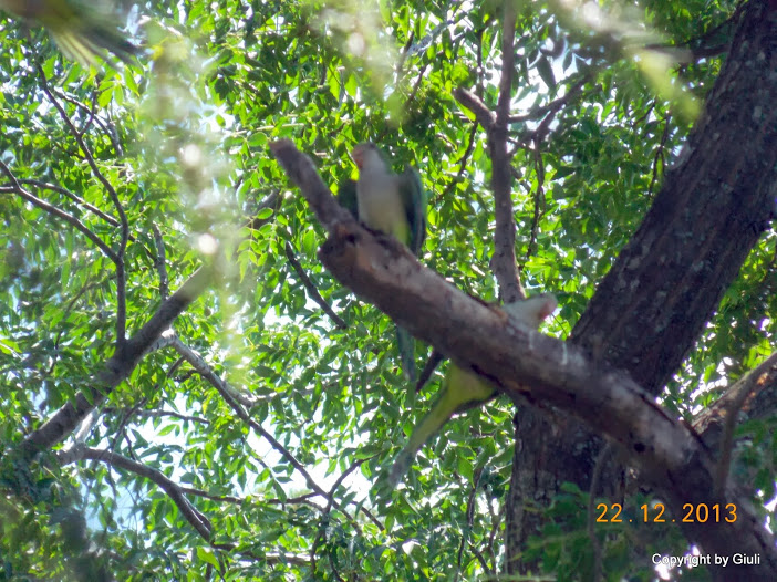DSCN1576.JPG