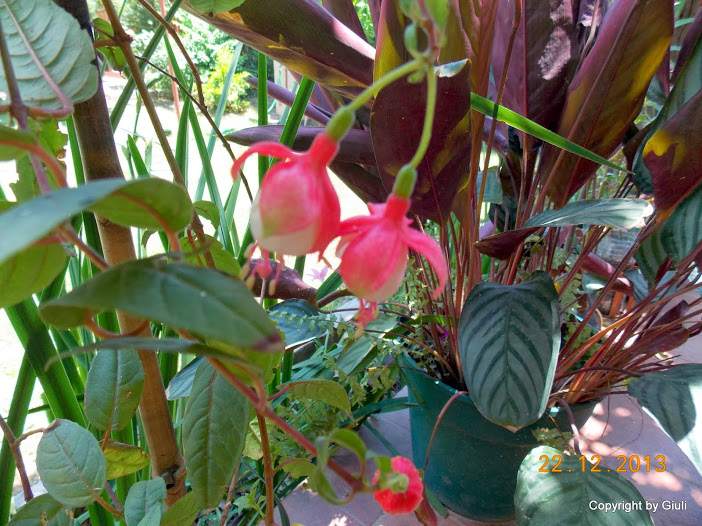 DSCN1579.JPG