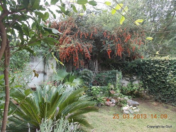 DSCN1587.JPG