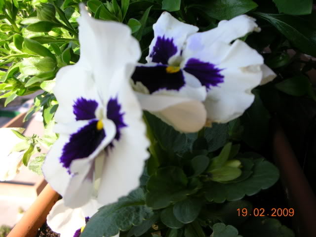 DSCN1588.jpg