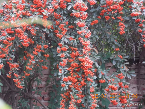 DSCN1588.JPG