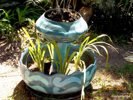 DSCN1600.JPG