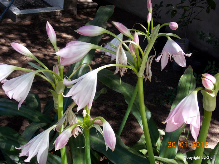 DSCN1601.JPG