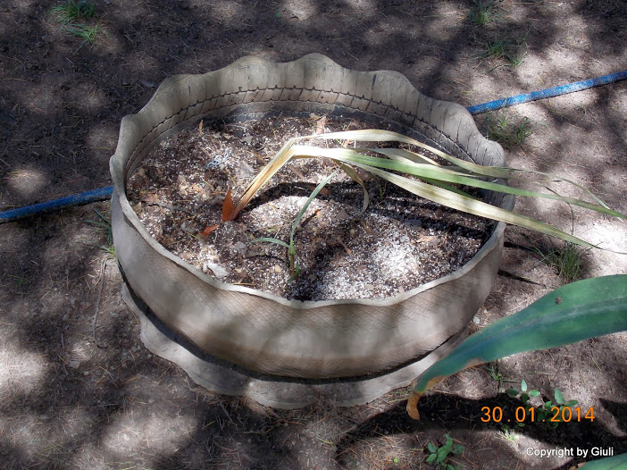 DSCN1602.JPG