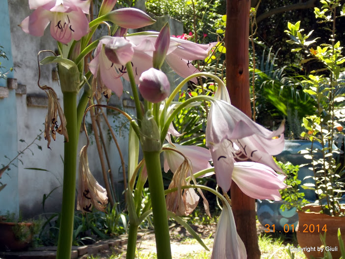 DSCN1604.JPG