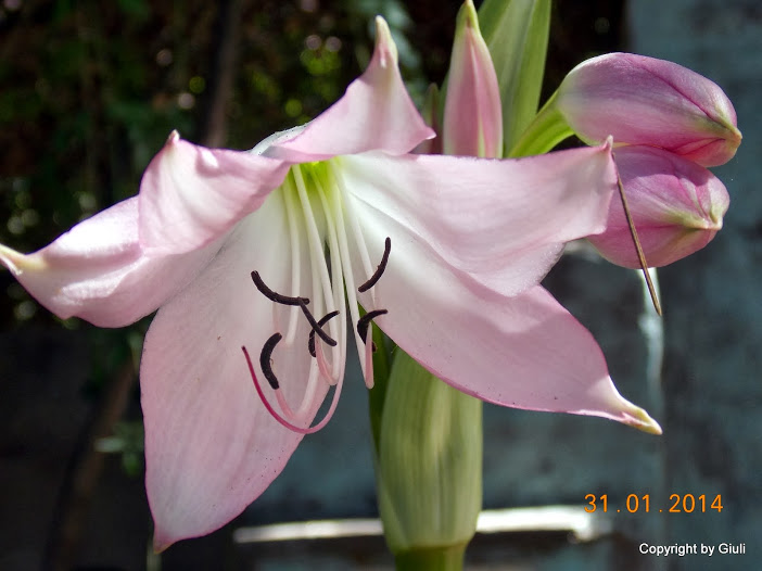 DSCN1605.JPG
