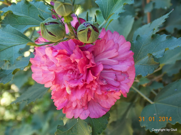 DSCN1606.JPG