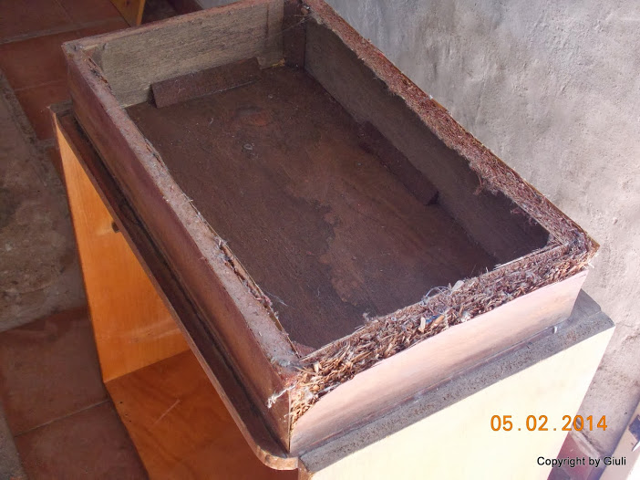 DSCN1609.JPG