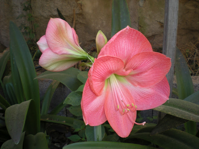 DSCN1619.JPG
