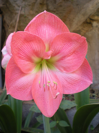DSCN1621.JPG