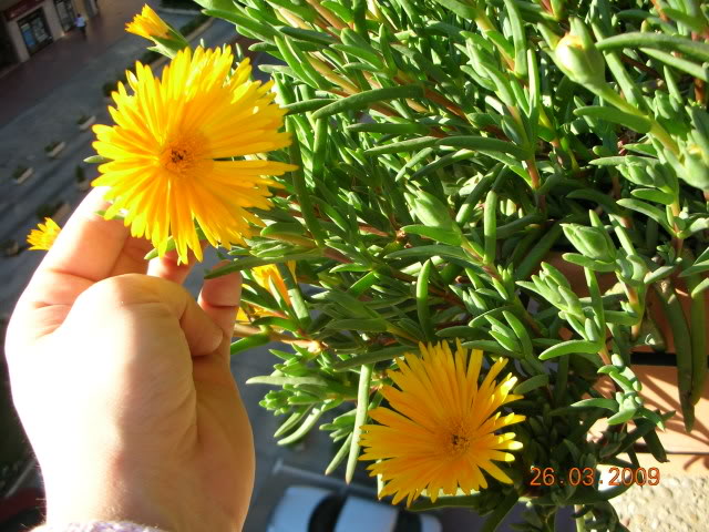 DSCN1624.jpg