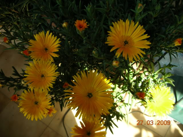 DSCN1626.jpg