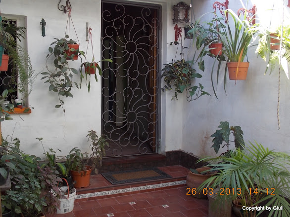DSCN1636.JPG