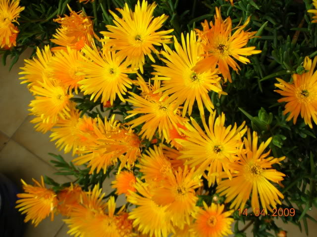 DSCN1637.jpg